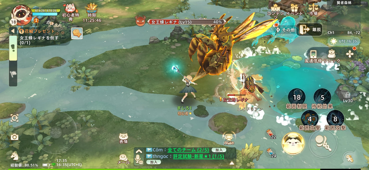 Tree of Savior: Neverlandのプレイ画面